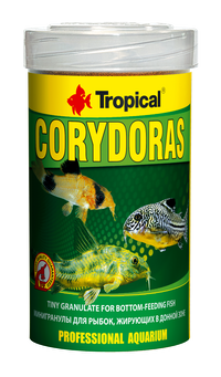 CORYDORAS-100-ml